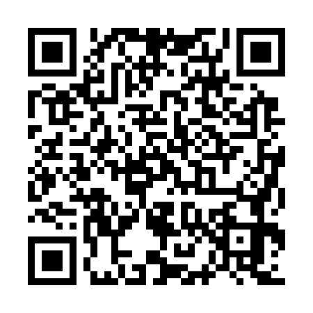 QR code for W823738