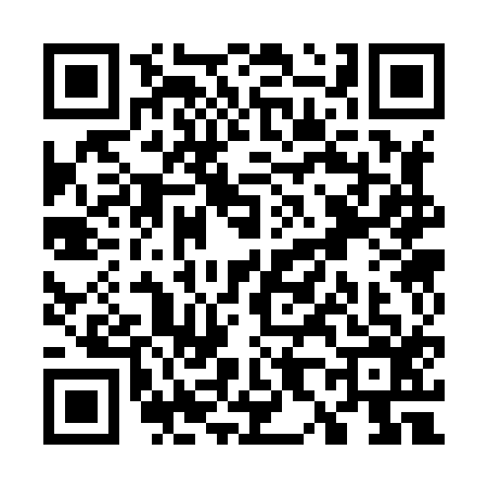 QR code for W838161