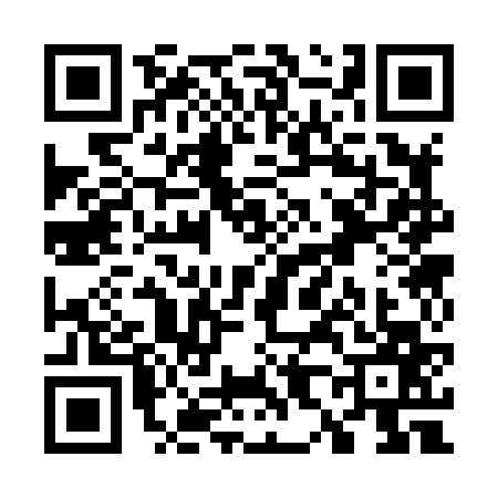 QR code for W838673