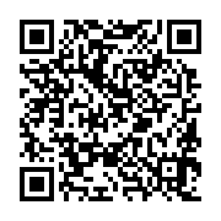 QR code for W85395