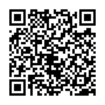 QR code for W866119