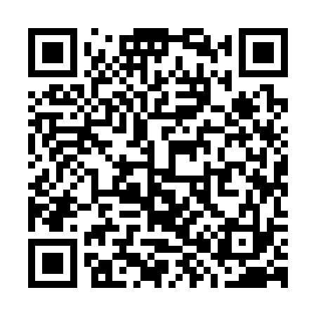 QR code for W89333