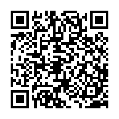 QR code for W900458