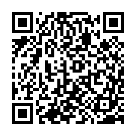 QR code for W91063