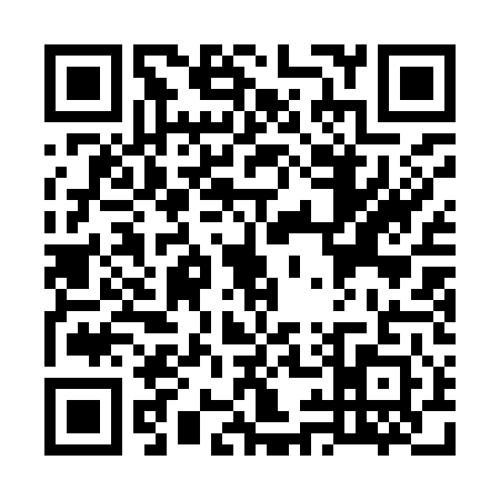 QR code for W919412