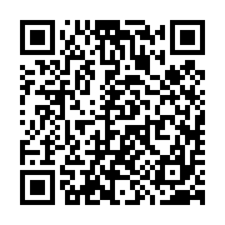 QR code for W92417
