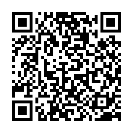 QR code for W95231