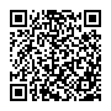 QR code for W95246