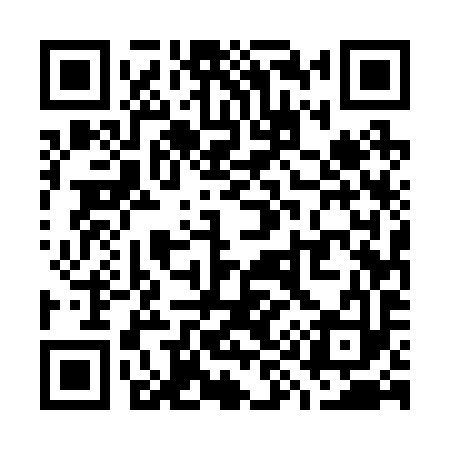 QR code for W95293