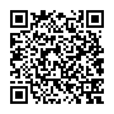 QR code for W966389
