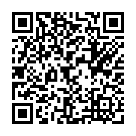 QR code for W993303