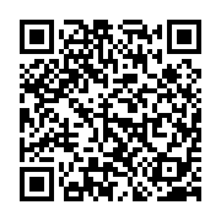 QR code for WG1119