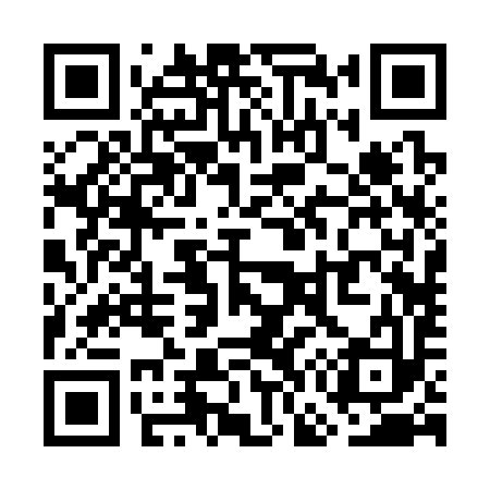 QR code for WG2393