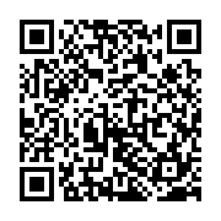 QR code for WHI334