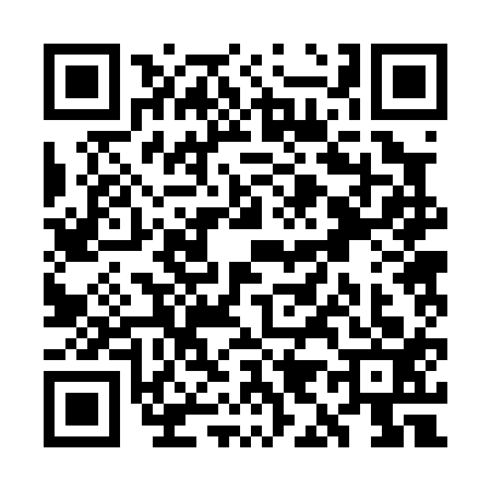 QR code for WI20133