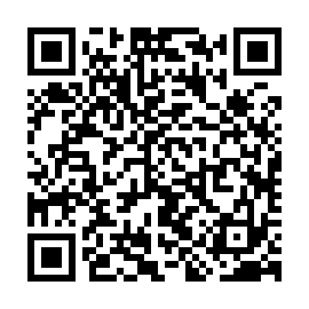 QR code for WIR933