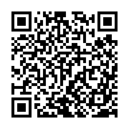 QR code for WKF667