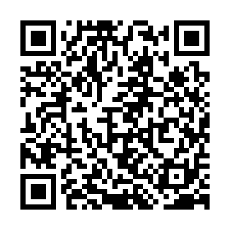 QR code for WL9311