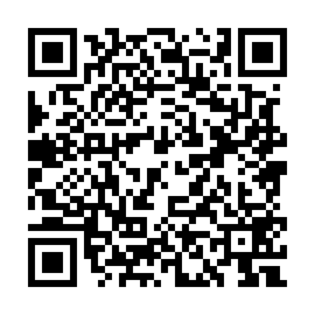 QR code for WN85595