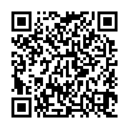 QR code for WNN381