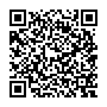QR code for WO06547