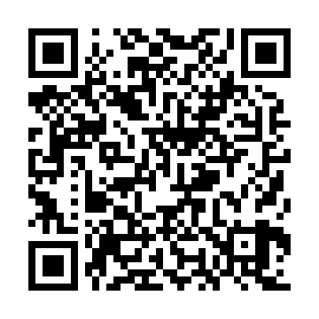 QR code for WO0829