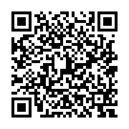 QR code for WO11965