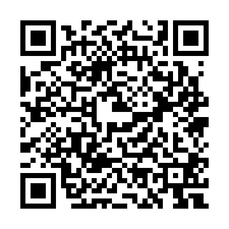 QR code for WO13007