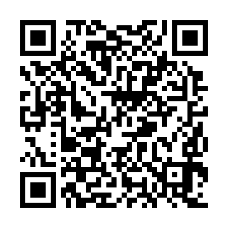 QR code for WO2393