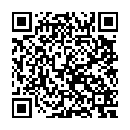 QR code for WO3029