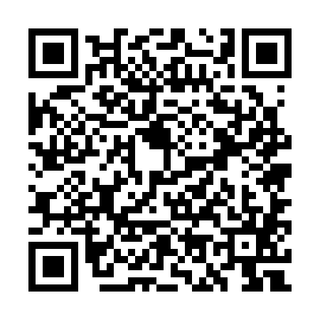 QR code for WO53856