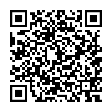 QR code for WO79992