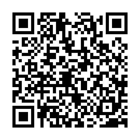 QR code for WO81950