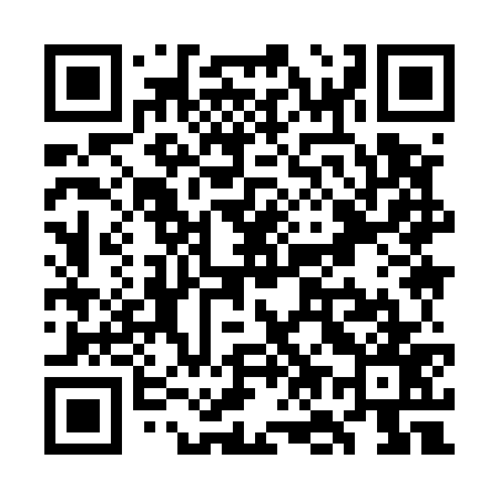 QR code for WO9577