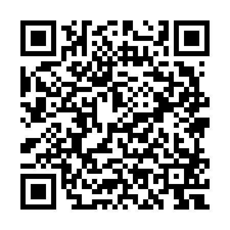 QR code for WO96833
