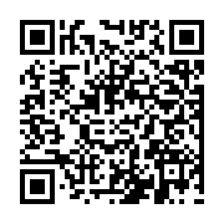 QR code for WP33834