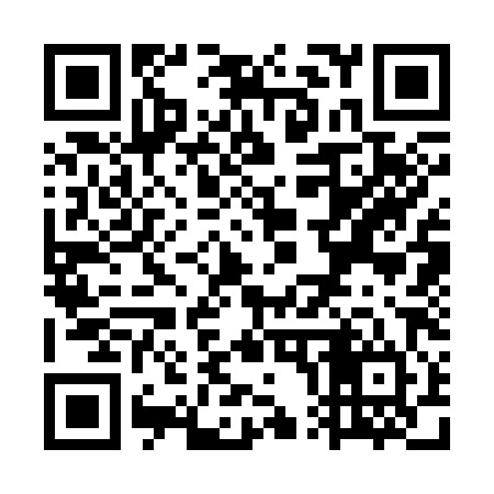 QR code for WP3384