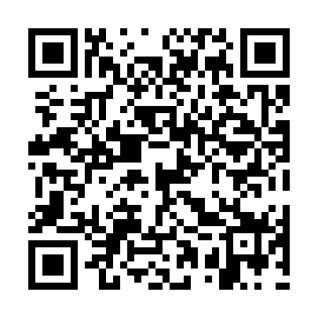 QR code for WQX379