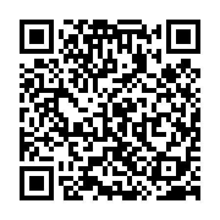 QR code for WSA419
