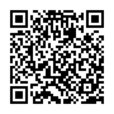 QR code for WSD995