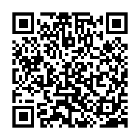 QR code for WSI011
