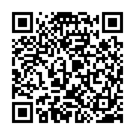 QR code for WSY333