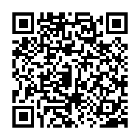 QR code for WU80393