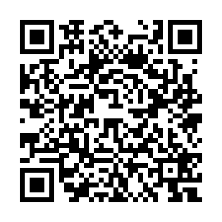 QR code for WV13295