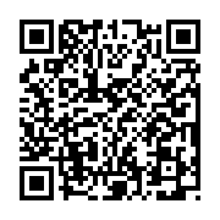QR code for WV38299