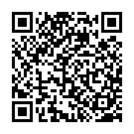 QR code for WX4541