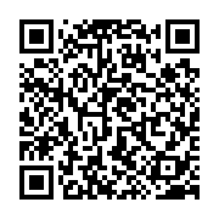 QR code for WYS738