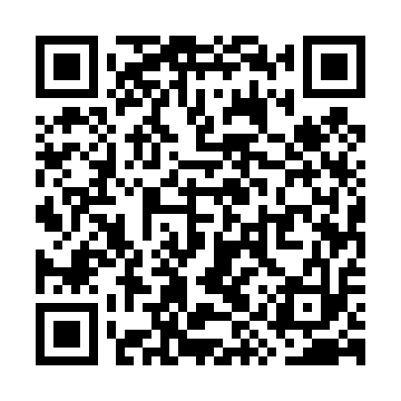 QR code for WYU413