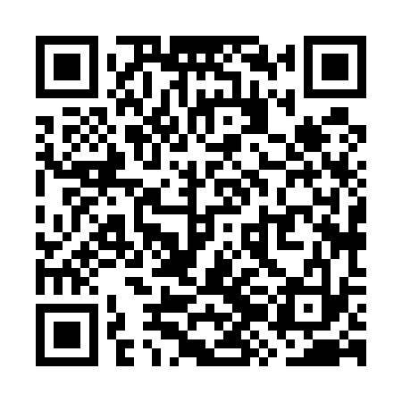 QR code for WZH533