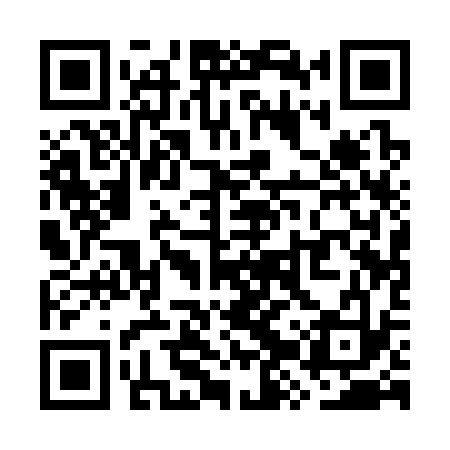 QR code for WZQ333